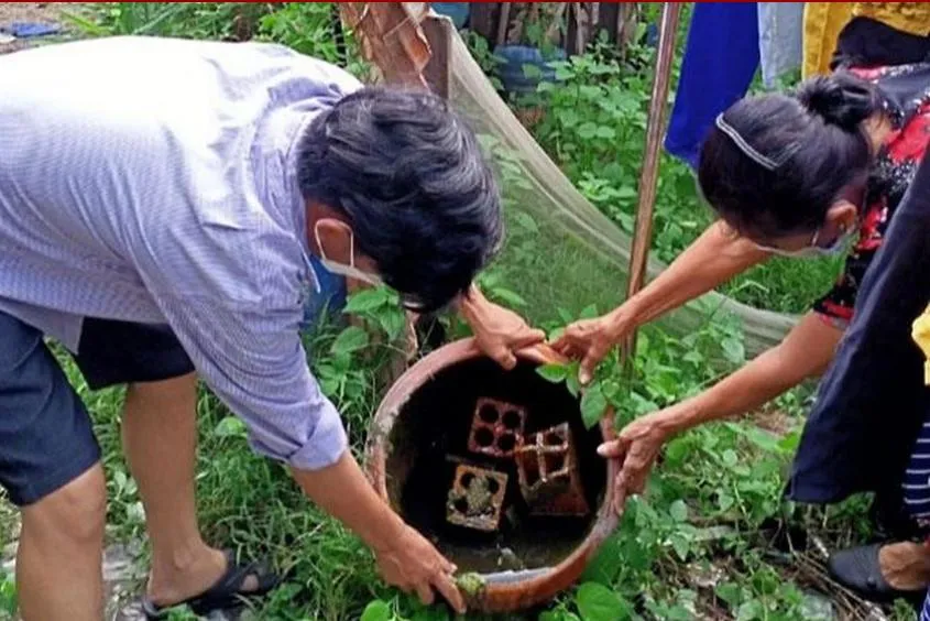 Diệt lăng quăng để không phát sinh muỗi gây bệnh sốt xuất huyết. Ảnh: TRẦN NGỌC