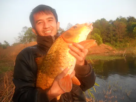 Cá chép vàng có cân nặng gần 10kg được câu ở Biển Hồ