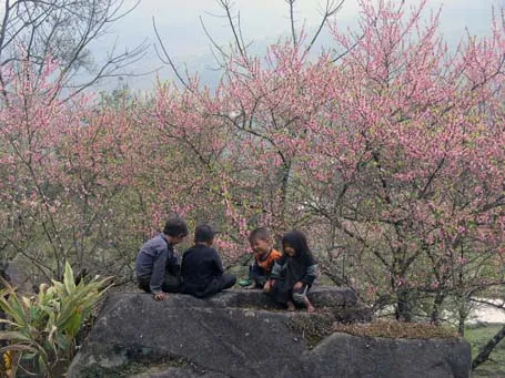 Phạm Ngọc Triển