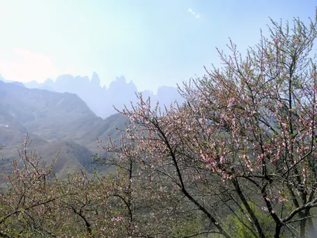 Phạm Ngọc Triển