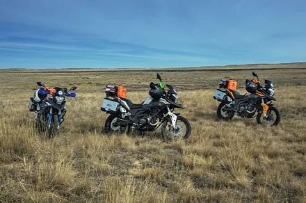 Minks khù khờ được tái sinh