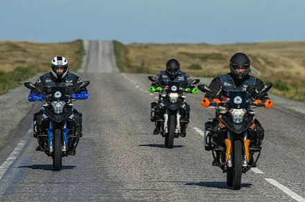 Minks khù khờ được tái sinh