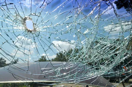 Xử lý nó ngay trước khi nó kịp 