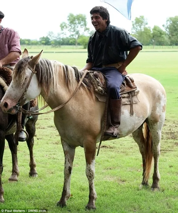 Huấn luyện ngựa... tập yoga ảnh 15 Huấn luyện ngựa... tập yoga ảnh 15