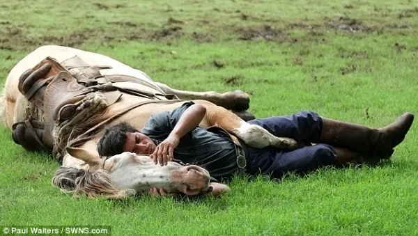 Huấn luyện ngựa... tập yoga ảnh 14 Huấn luyện ngựa... tập yoga ảnh 14