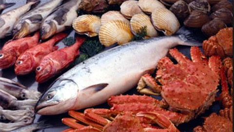 Bệnh nhân chú ý khi sởi lặn kiêng ăn: tôm, cua...