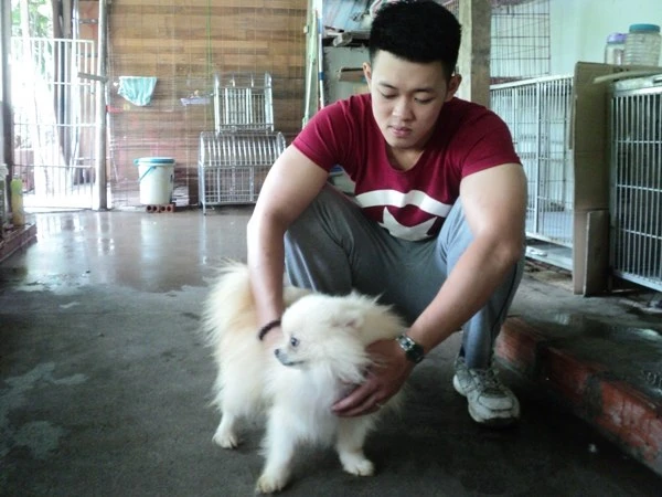 Dịch vụ trông giữ chó, mèo “đắt khách” dịp nghỉ lễ ảnh 2