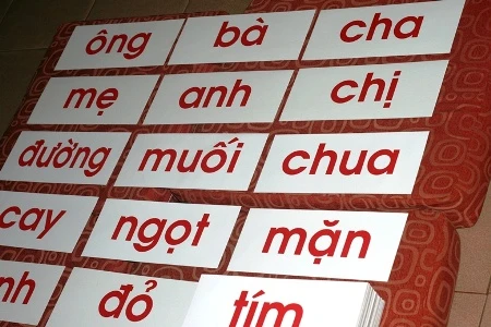 giáo-dục-sớm, tiền-triệu, tốn-kém, phụ-huynh, 0-tuổi, giáo-dục, flash-card, Glenn Doman hoc-lieu