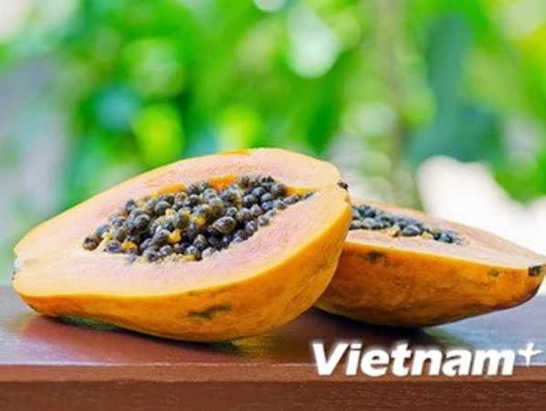 5 loại hoa quả giải nhiệt tốt nhất cho những ngày hè ảnh 5 5 loại hoa quả giải nhiệt tốt nhất cho những ngày hè ảnh 5