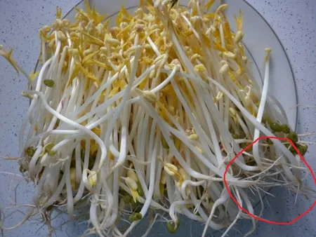Người tiêu dùng có thể tự phân biệt được giá có sử dụng hóa chất hay không bằng mắt thường.