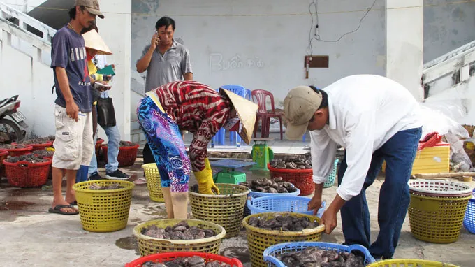 Cày nát đáy biển săn banh lông ảnh 1 Cày nát đáy biển săn banh lông ảnh 1