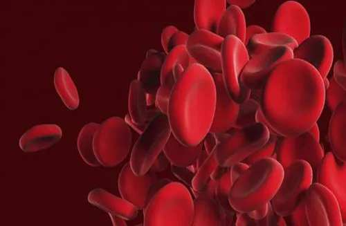 Tác dụng phụ của khổ qua ảnh 4