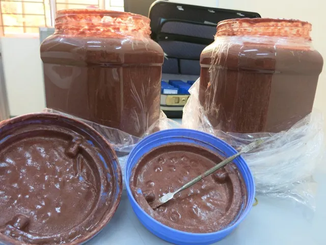 Hơn 9 kg tiền chất sản xuất ma túy đá ngụy trang trong mắm tôm ảnh 1