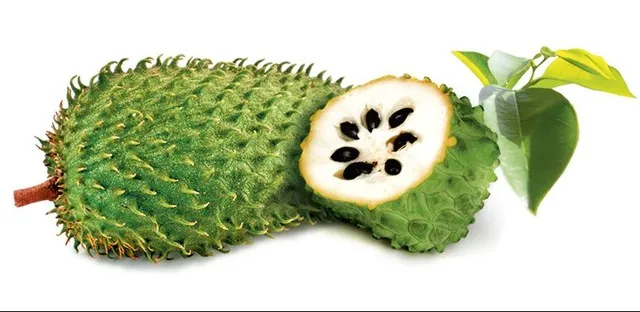 Không có đủ bằng chứng chứng tỏ mãng cầu xiêm có hiệu quả trong điều trị ung thư.