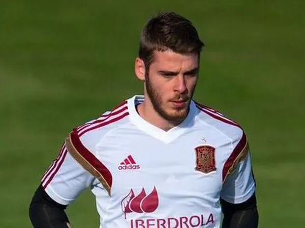 Thủ thành David de Gea sớm phải chia tay World Cup 2014? ảnh 1 Thủ thành David de Gea sớm phải chia tay World Cup 2014? ảnh 1