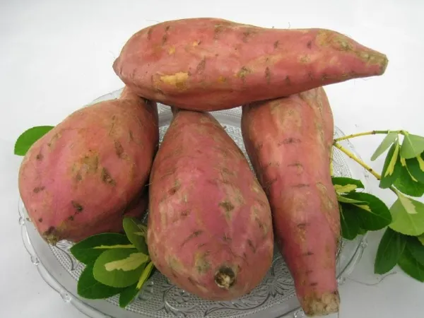 Lợi ích hơn cả thuốc của khoai lang ảnh 2