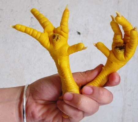 chân-gà, bơm-nước, độn, thực-phẩm-phẩm, đồ-nhậu, dân-nhậu, phù-phép, công-nghệ, rùng-mình