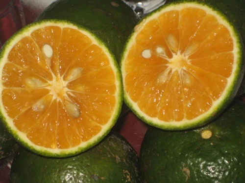 Mẹo hay chọn thực phẩm tươi ngon