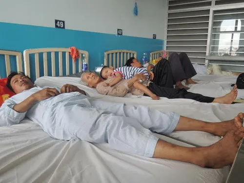 Uống máu con nưa, 11 người nhập viện ảnh 1