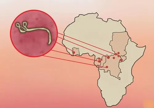Ebola, virus Ebola, đại dịch Ebola, phòng và điều trị Ebola, biến chứng nguy hiểm của Ebola
