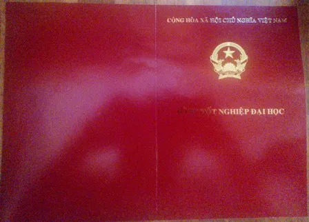 Sinh viên ĐH Huế hốt hoảng vì bằng đại học bị sai lỗi chính tả tiếng Anh ảnh 3
