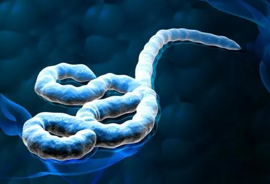 10 loại virus chết người nguy hiểm nhất thế giới ảnh 1 10 loại virus chết người nguy hiểm nhất thế giới