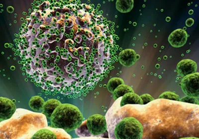 10 loại virus chết người nguy hiểm nhất thế giới ảnh 3 10 loại virus chết người nguy hiểm nhất thế giới
