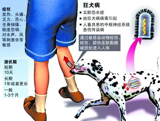 10 loại virus chết người nguy hiểm nhất thế giới ảnh 6 10 loại virus chết người nguy hiểm nhất thế giới