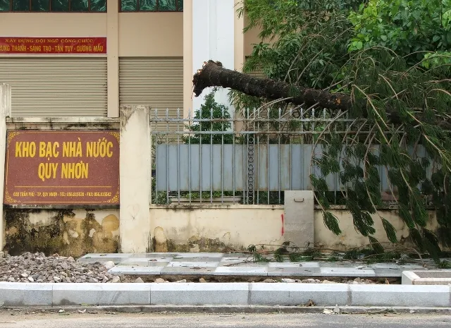 Chùm ảnh nhà sập, đường sá ngổn ngang sau bão số 4 ảnh 3 Chùm ảnh nhà sập, đường sá ngổn ngang sau bão số 4 ảnh 3