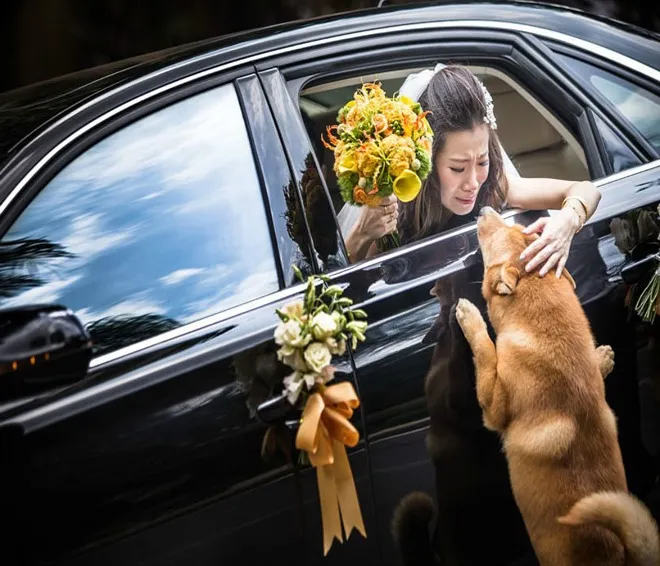 Những bức hình cưới lay động nhất 2014 ảnh 7