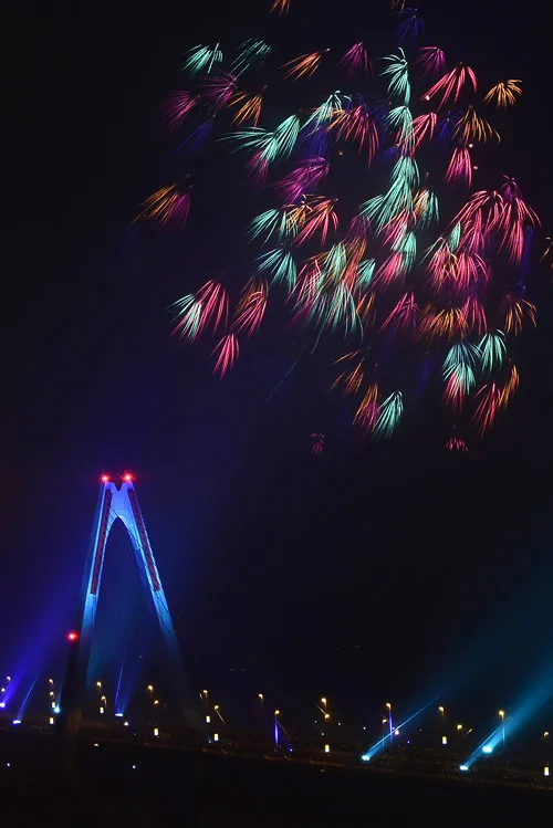 Pháo hoa đẹp lung linh trong thời khắc giao thừa - 3