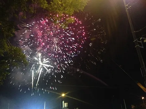 Cả nước đón tết Ất Mùi trong niềm vui hân hoan ảnh 6