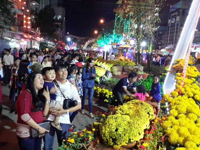 Xem bắn pháo hoa ởđường hoa nghệ thuật Cần Thơ đêm giao thừa- Ảnh: PHƯƠNG NGUYÊN (TTO)