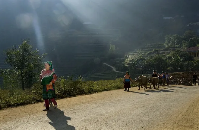 Vẻ đẹp quê hương qua ống kính bà cụ Sài Gòn ảnh 8