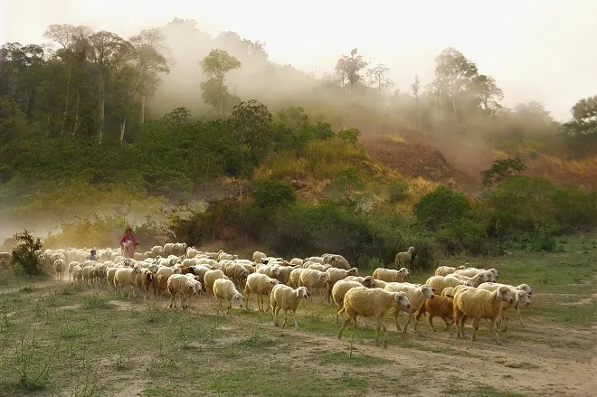 Vẻ đẹp quê hương qua ống kính bà cụ Sài Gòn ảnh 3