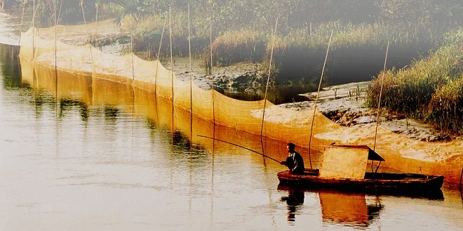 Vẻ đẹp quê hương qua ống kính bà cụ Sài Gòn ảnh 11