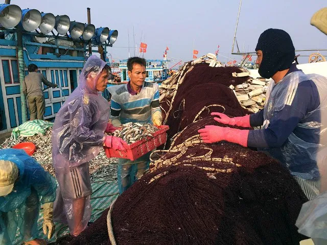 Chùm ảnh chợ cá trên đảo Lý Sơn ảnh 3 Chùm ảnh chợ cá trên đảo Lý Sơn ảnh 3