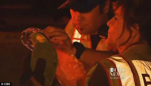 Vẹt kêu cứu, cứu hỏa vội đến ngay