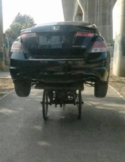 'Chết cười' với những bức ảnh hài hước ảnh 16