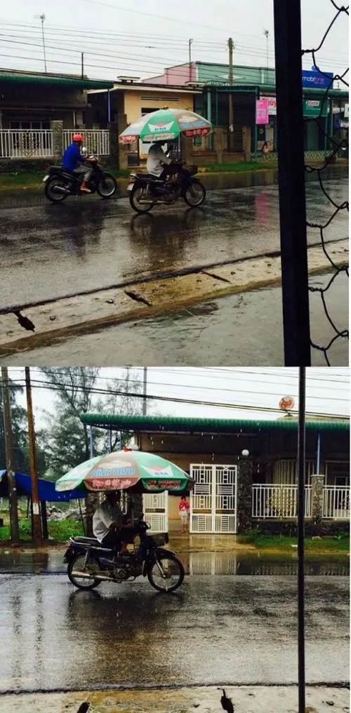 'Chết cười' với những bức ảnh hài hước ảnh 18