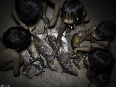 Bộ tộc kỳ lạ: Nhận động vật hoang dã làm con ảnh 11 Bộ tộc kỳ lạ: Nhận động vật hoang dã làm con ảnh 11