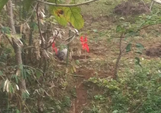 Hai 'vật thể lạ' rơi xuống ở Tuyên Quang, Yên Bái ảnh 3