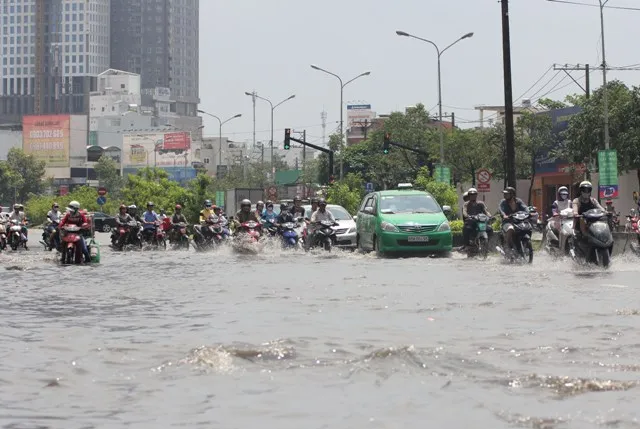 Cần hơn ngàn tỉ mua xe chống ngập ở TP.HCM ảnh 1 Cần hơn ngàn tỉ mua xe chống ngập ở TP.HCM ảnh 1
