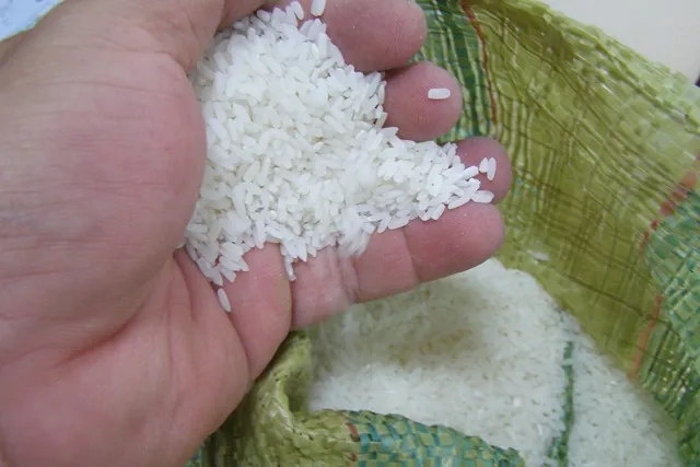 Làm rõ nguyên nhân cơm để ba ngày không thiu ảnh 1 Làm rõ nguyên nhân cơm để ba ngày không thiu ảnh 1