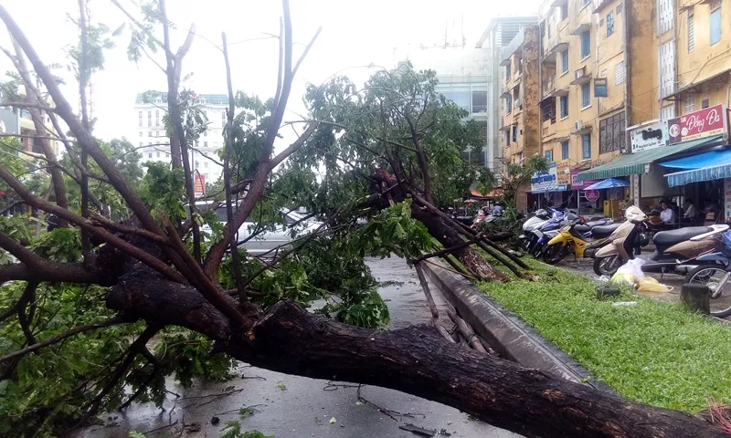 Một phụ nữ mất tích do ảnh hưởng áp thấp nhiệt đới ảnh 1 Một phụ nữ mất tích do ảnh hưởng áp thấp nhiệt đới ảnh 1