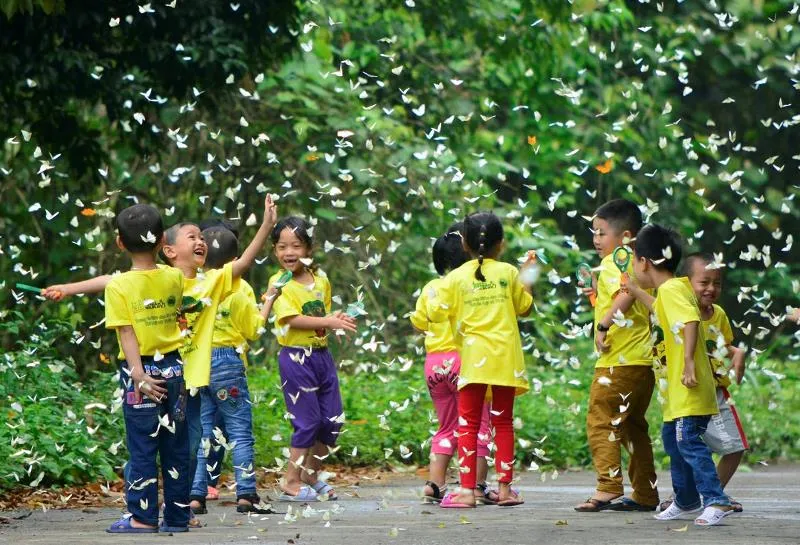 Vào rừng Cúc Phương ngắm bướm bay rợp trời ảnh 12 Vào rừng Cúc Phương ngắm bướm bay rợp trời ảnh 12