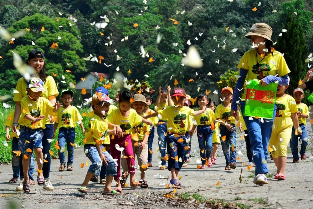 Vào rừng Cúc Phương ngắm bướm bay rợp trời ảnh 1 Vào rừng Cúc Phương ngắm bướm bay rợp trời ảnh 1