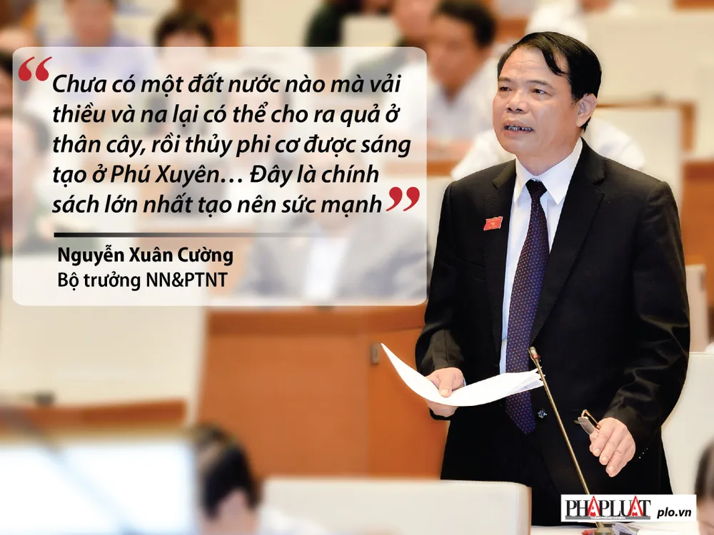 Những phát ngôn 'đốt nóng' nghị trường Quốc hội ảnh 11