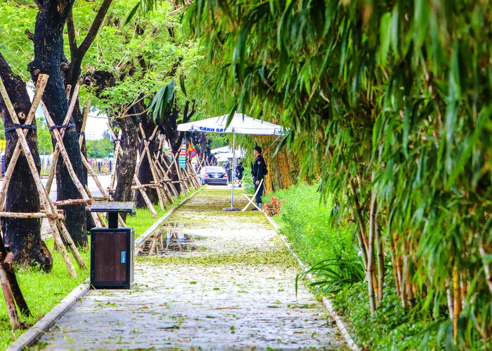 Chó nghiệp vụ tham gia bảo vệ APEC ở Đà Nẵng ảnh 5