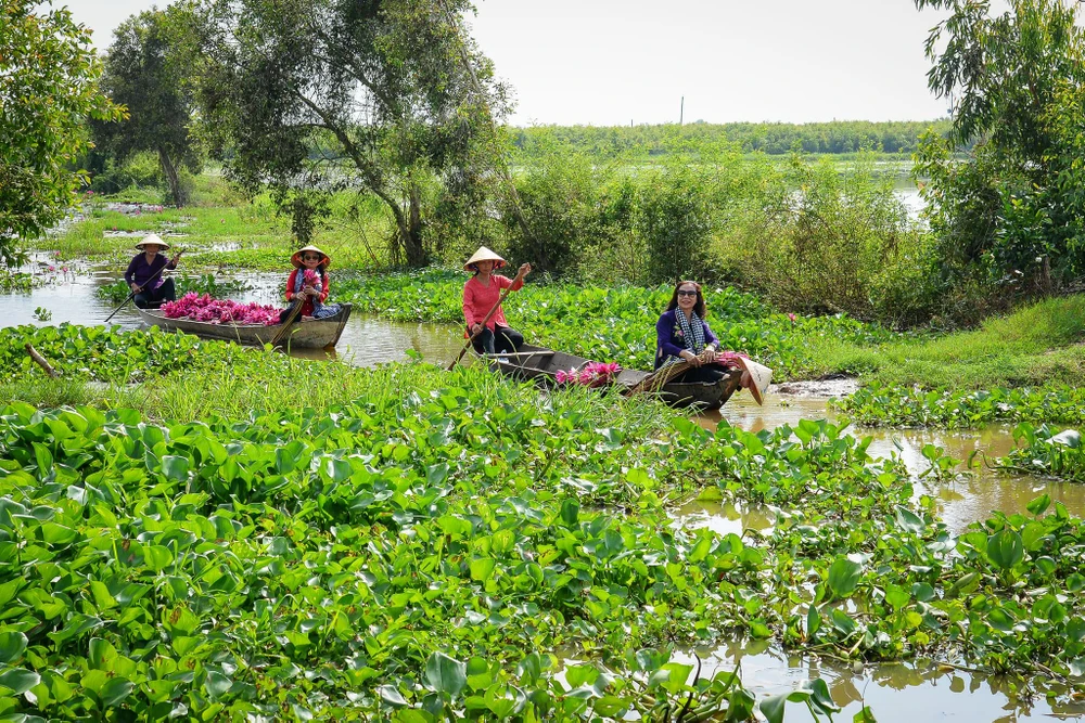 Làng nổi Tân Lập điểm đến với cảnh thiên nhiên miền tây sông nước.